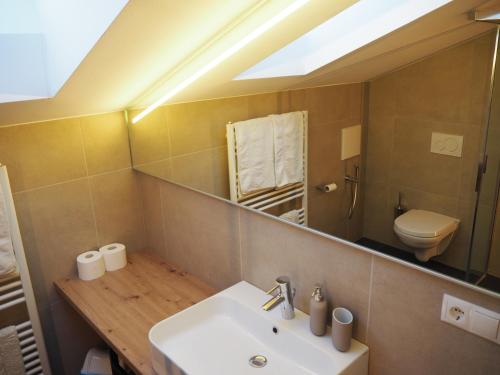 阿尔迪诺Ebner Appartements的一间带水槽和镜子的浴室