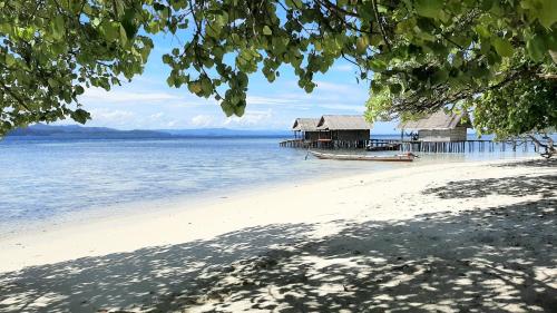 Pulau MansuarFrances Homestay - Raja Ampat的水中拥有房子和船只的海滩