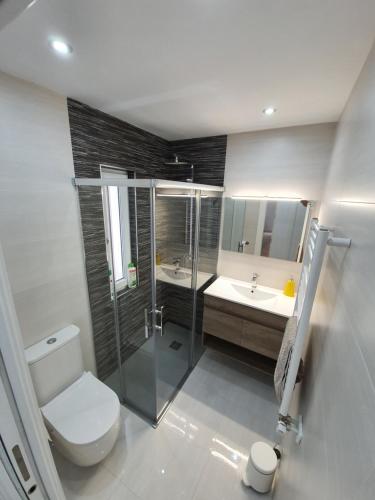 萨拉曼卡Villa Toston City的浴室配有卫生间、盥洗盆和淋浴。