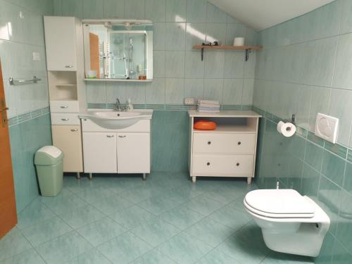 克拉尼Hiša Bizjak的一间带卫生间和水槽的浴室