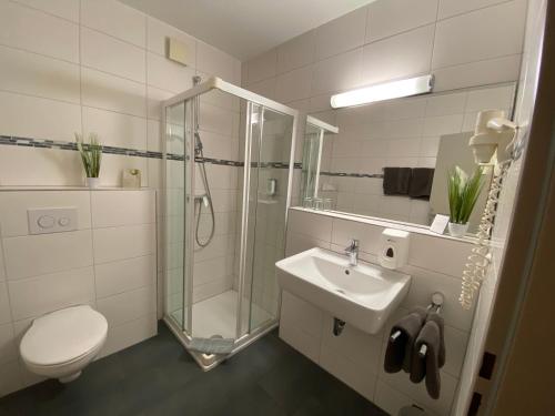 拉尔Hotel am Westend的带淋浴、卫生间和盥洗盆的浴室