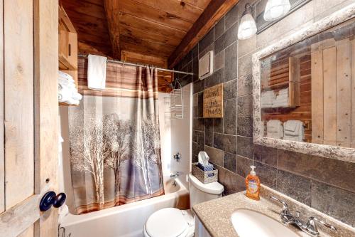 JamaicaBirchside Cabin in the Woods的浴室配有卫生间、盥洗盆和淋浴。