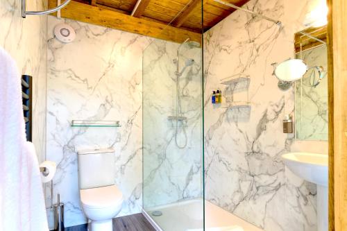 Cookham DeanSanctum On The Green Hotel的带淋浴、卫生间和盥洗盆的浴室