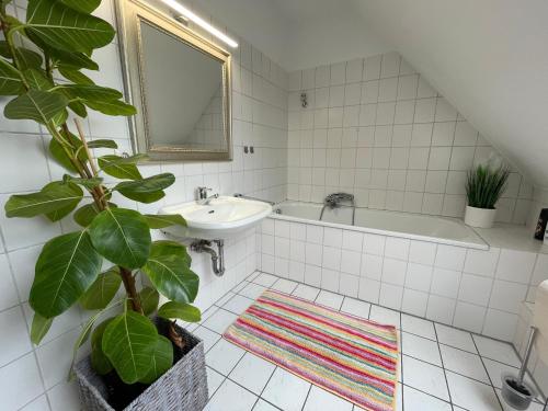 Borgholzhausen2 Zimmer Appartement的一间带水槽、浴缸和植物的浴室