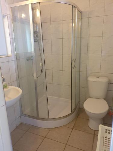 什图罗沃Apartmány Viola的带淋浴、卫生间和盥洗盆的浴室