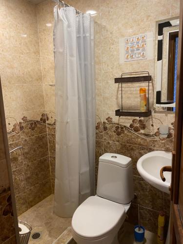 泰拉维Valiko house in Telavi的一间带卫生间和水槽的浴室