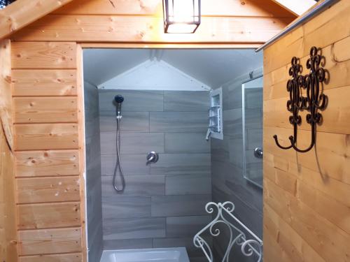 梅图拉חלום בגורן - צימר קט的带淋浴的浴室和玻璃淋浴间