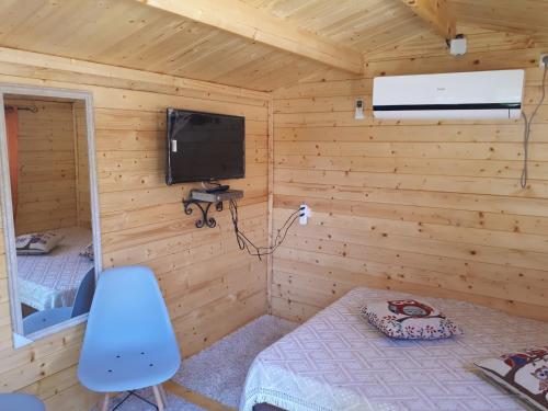 梅图拉חלום בגורן - צימר קט的小木屋设有床和电视