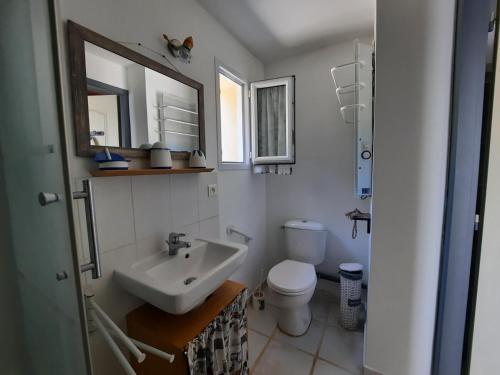 加普Le boisnheur的一间带水槽、卫生间和镜子的浴室