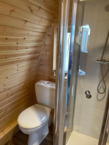 BeauvoisinLe charmant Pod du Parolais的一间带卫生间和淋浴的小浴室