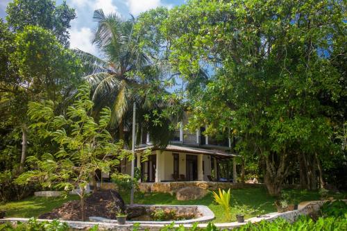 陶尔佩Lush Green Villa的前面有棕榈树的房子