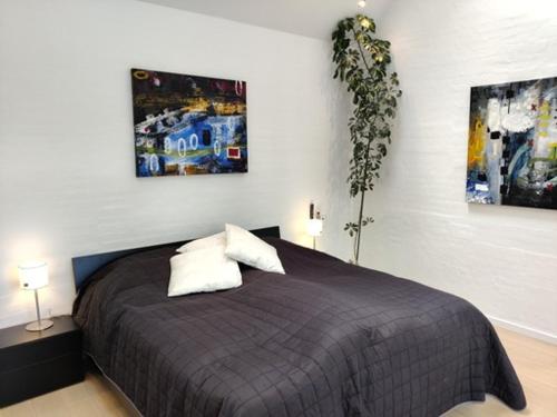 海宁Værelser i midtbyen - 117 m2 apartment的一间卧室,配有一张带两盏灯和一根植物的床