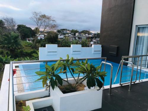 普兰马尼恩ISLAND RESIDENCE Plaisance - Mauritius - 15718的大楼内带游泳池的阳台