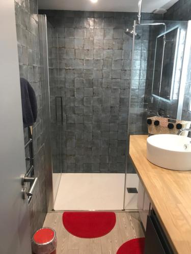 拉罗谢尔Appart Christelle的带淋浴、水槽和红色地毯的浴室