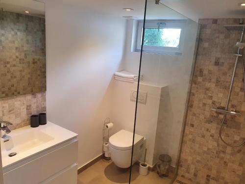 马尔梅迪Aux 4 vents - Malmedy的浴室配有卫生间、淋浴和盥洗盆。