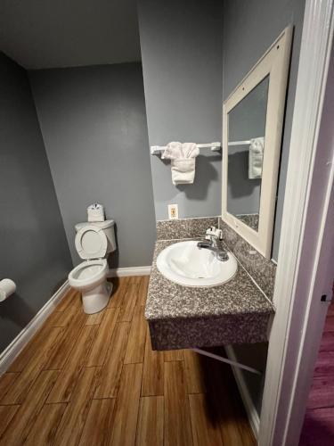 BellBELL RESORT MOTEL的一间带水槽、卫生间和镜子的浴室