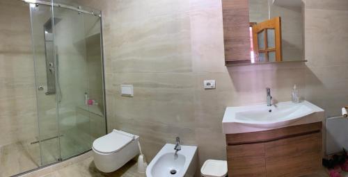 克鲁亚Villa Celaj “The Castle”的一间带水槽、卫生间和淋浴的浴室