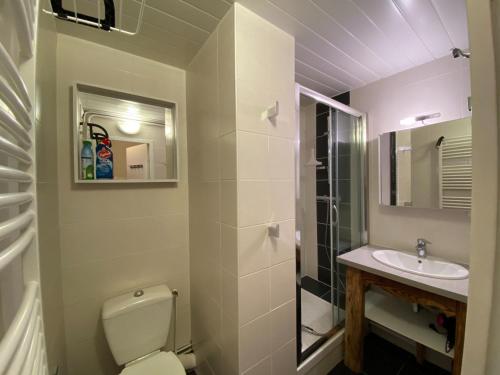 葱仁谷Val Thorens, Roc de Peclet 29m2 , pied pistes的一间带卫生间和水槽的浴室
