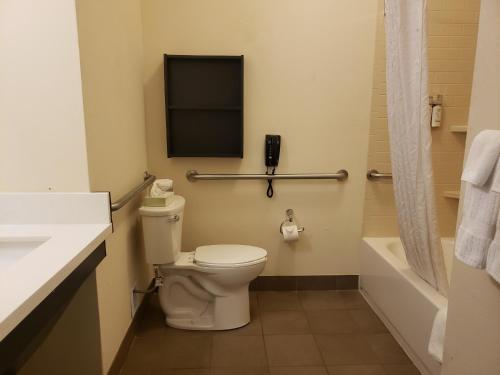 WestoverCandlewood Suites MORGANTOWN-UNIV WEST VIRGINIA, an IHG Hotel的浴室配有卫生间、盥洗盆和浴缸。