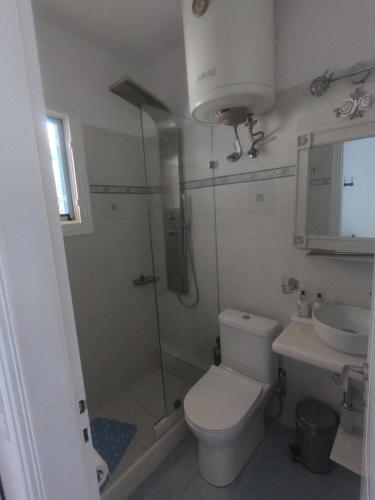 皮索利瓦迪塔利亚公寓的带淋浴、卫生间和盥洗盆的浴室