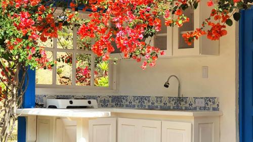 莱瓦镇El Oteo Tiny house.的挂在窗户上的红色花卉厨房