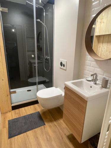 比林根Lovely Home 1, with private terrace and Whirlpool,4-6 pers的浴室配有卫生间、盥洗盆和淋浴。