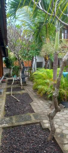 蓝梦岛斯瓦亚民宿2号的一座种有棕榈树和石头步道的花园