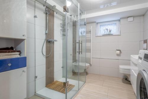 汉诺威Nice Private Apartment的带淋浴和卫生间的浴室