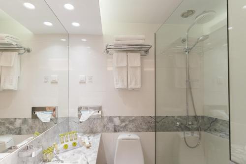 雅典海洛狄恩酒店的带淋浴、卫生间和盥洗盆的浴室