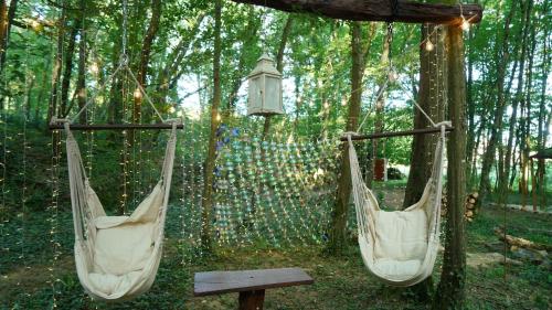 ParmilieuÔ Pays Des Bois - Hébergements insolites en pleine nature的森林里树上挂着两张吊床