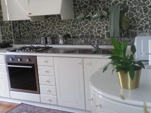 布伦托尼科Casa Criss的厨房配有水槽、炉灶和植物