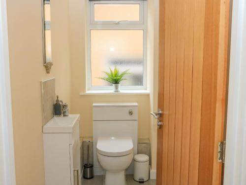 道利什Sawtons Cottage 1的一间带卫生间的浴室和一个带植物的窗户