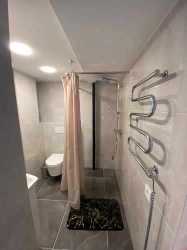 考纳斯Radio city loft的带淋浴和浴帘的浴室