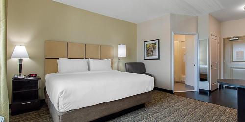 圣安东尼奥圣安东尼奥机场烛木套房酒店的卧室配有一张白色大床和一张书桌