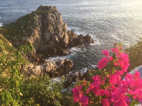 安赫尔港Hermosa Villa con alberca infinita Playa Zipolite的享有海洋和岩石及粉红色花卉的景色