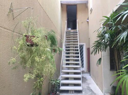 库里提巴Suite/loft Jardim Botanico的通往植物丛的建筑的楼梯