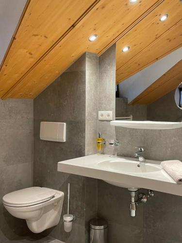 朗根费尔德Alpin Apart Maurer的浴室配有白色水槽和卫生间。