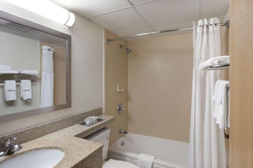 奥尔巴尼市中心品质酒店的一间带水槽、卫生间和淋浴的浴室