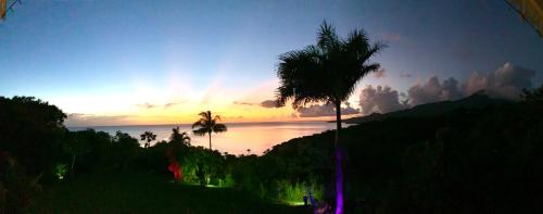 勒卡尔贝LODGE COLIBRIS vue panoramique mer et montagne pelée , 500 m plage dans un parc , Calme assuré Idéal pour découvrir le nord Caraïbes的日落时分棕榈树和海洋