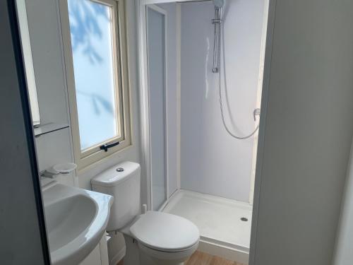 阿梅利亚Mobile home Comfort Ameglia - Including airco - Camping River- 326- 6 pers的白色的浴室设有卫生间和淋浴。