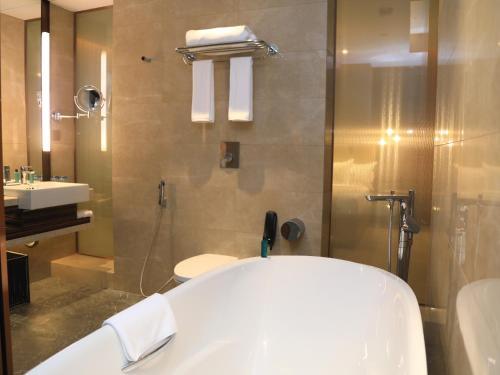 亚的斯亚贝巴Skylight In-Terminal Hotel的带浴缸、卫生间和盥洗盆的浴室