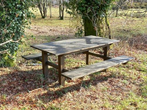Parada de AchasLobetios - Casa rural的木餐桌,草地上放着两长椅