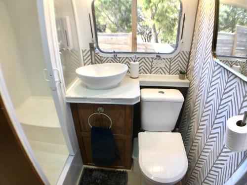 奥斯汀The Steel Magnolia Airstream - Cabins At Rim Rock的一间带卫生间和水槽的小浴室