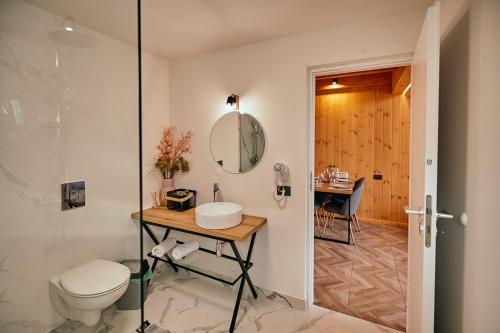 泽尔内什蒂Scandinave Chalet Bran的一间带卫生间、水槽和镜子的浴室