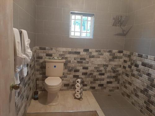 拉纳韦贝Hill view Vacational Rental的浴室配有卫生间和瓷砖浴缸。