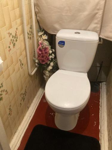 锡拉迈埃Back to USSR的浴室内白色的厕所,鲜花盛开