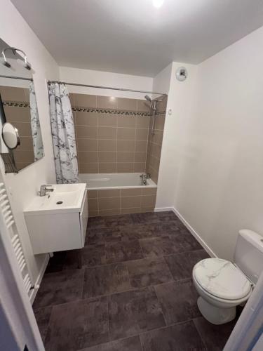 奥尔良Appartement rez de chaussée avec parking privé的浴室配有卫生间、盥洗盆和浴缸。