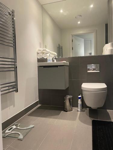 克罗伊登Morden 1 bedroom City- Apt Central stylish living的一间带卫生间、水槽和镜子的浴室