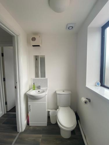 温斯伯里Spacious 1 Bedroom Apartment with free parking的白色的浴室设有卫生间和水槽。