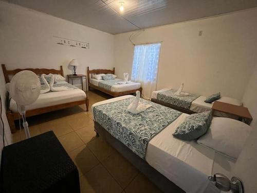 托尔图格罗Casa Artavia的一间卧室设有两张床和窗户。